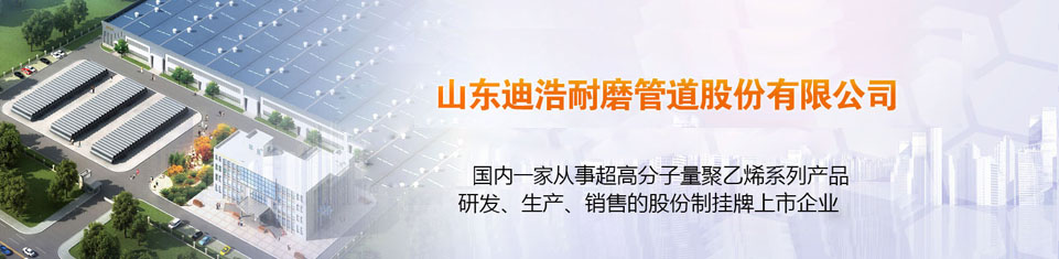 山東迪浩耐磨管道股份有限公司 山東迪浩耐磨管道股份有限公司
